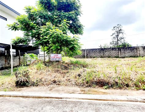 vista alegre bacolod city|SOCIO ECONOMIC PROFILE BARANGAY VISTA ALEGRE .